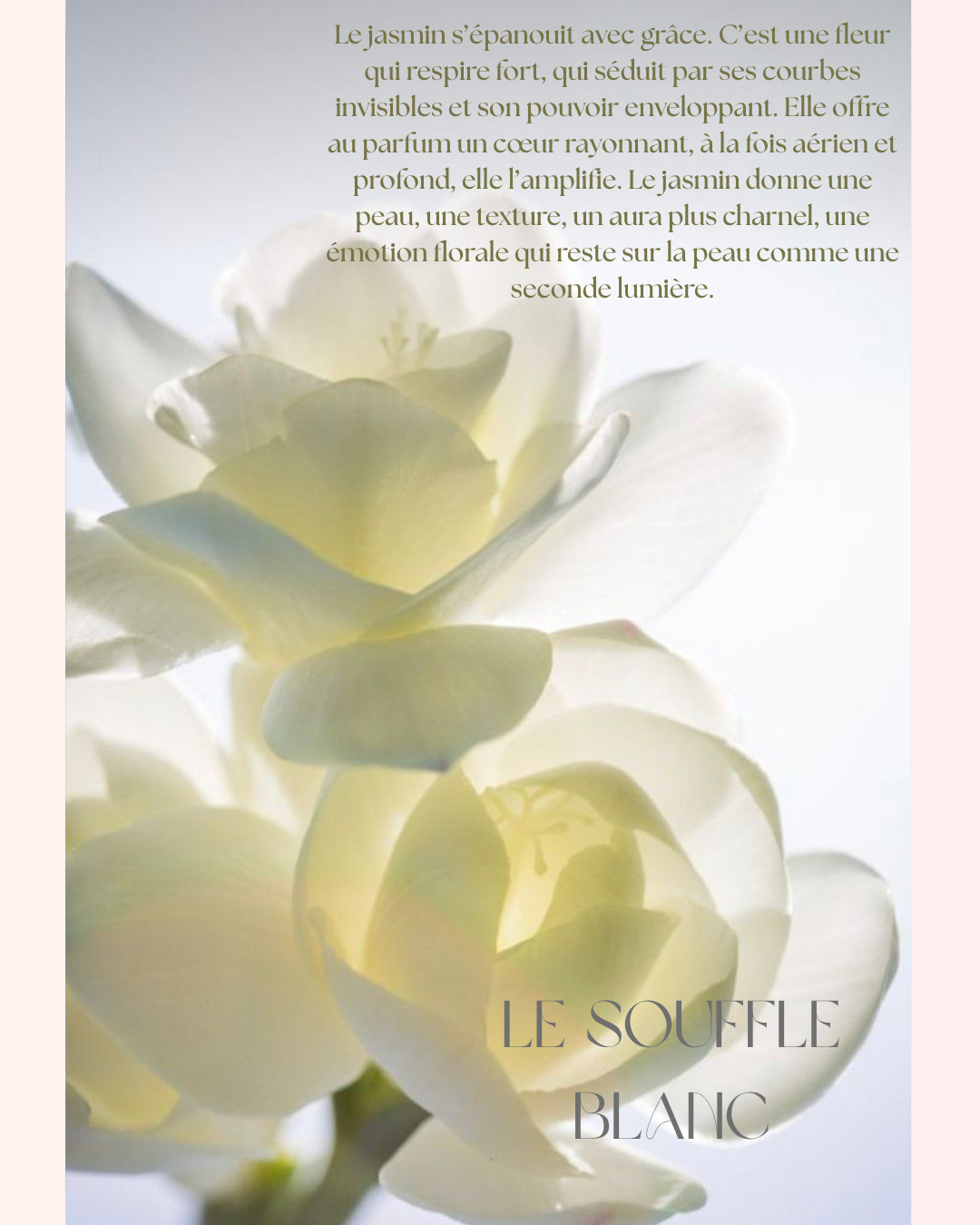 Vanilla Skin – Passion d’Été | Brume Corps & Cheveux 100ml