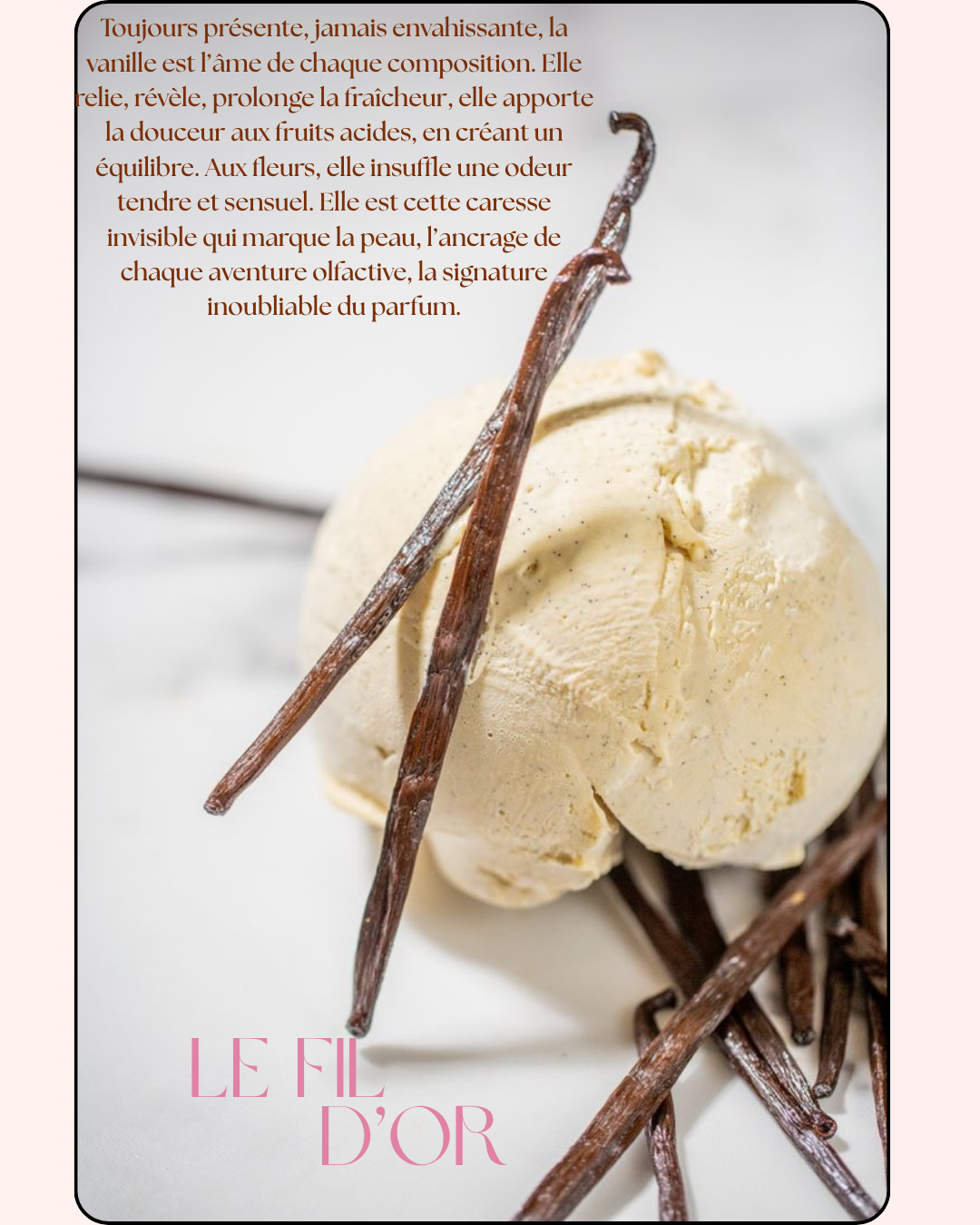 Vanilla Skin – Passion d’Été | Brume Corps & Cheveux 100ml