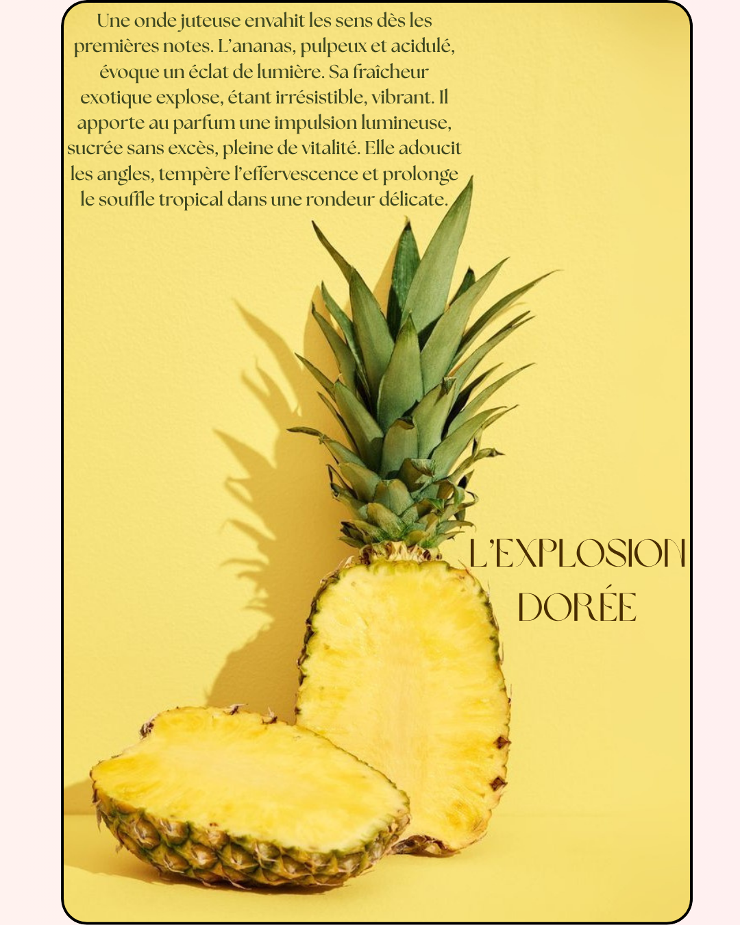Vanilla Skin – Passion d’Été | Brume Corps & Cheveux 100ml