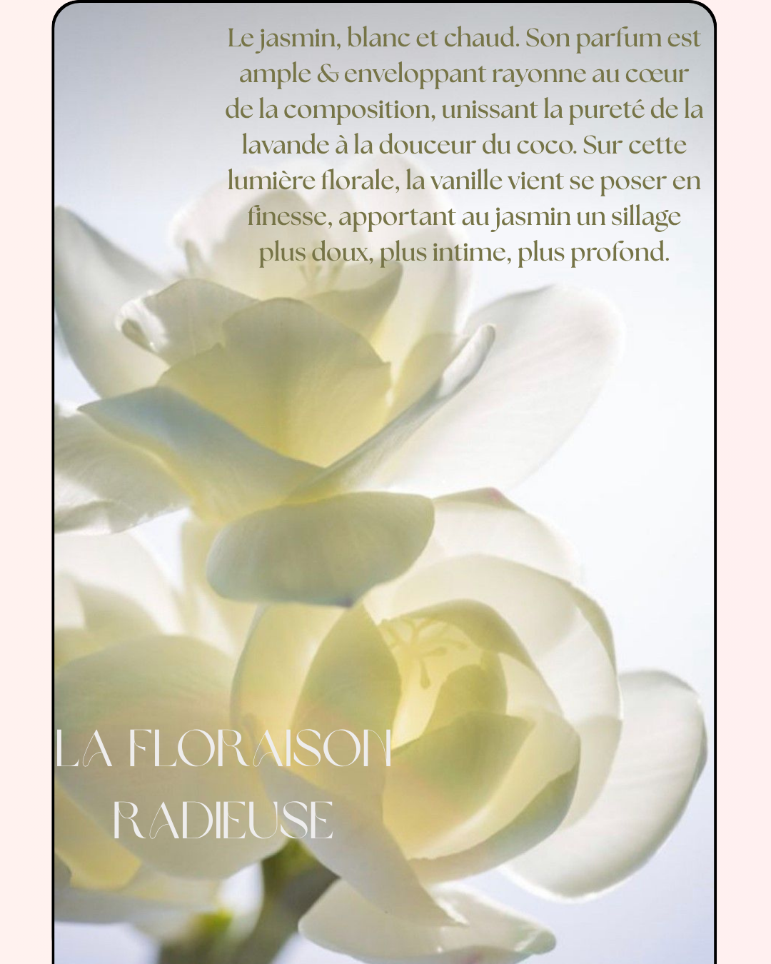 Vanille – Cristal de saison | Brume corps & cheveux 100ml