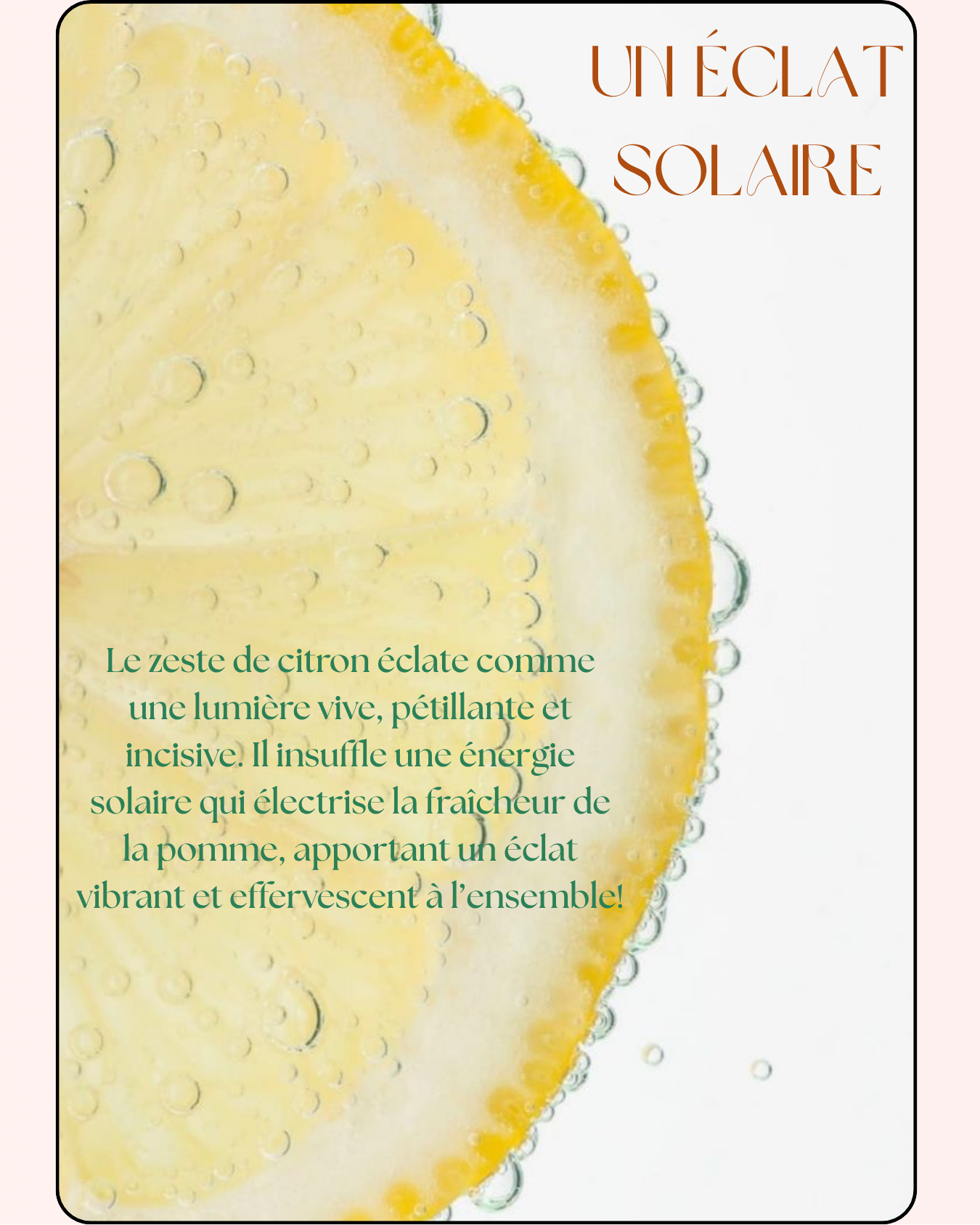 Vanilla Skin – Sunflower | Brume Corps & Cheveux 100ml